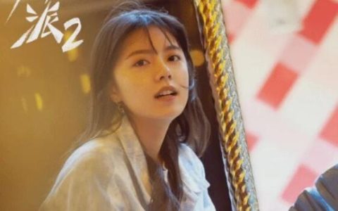 少年派2 - 2022年劉惠寧、李少飛執(zhí)導(dǎo)都市家庭教育劇