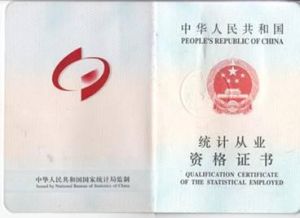 統(tǒng)計師 - 統(tǒng)計專業(yè)技術(shù)資格實行全國統(tǒng)一考試制度