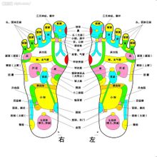 點(diǎn)穴 - 按摩手法