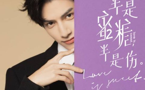 半是蜜糖半是傷 - 2020年于中中、吳建新執(zhí)導(dǎo)的電視劇