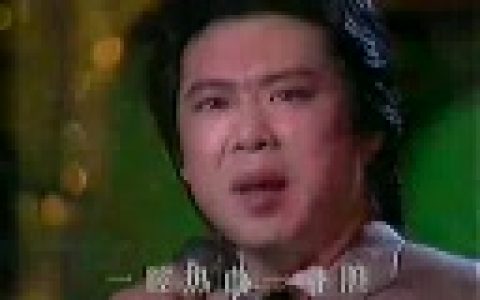 胡寅寅 - 20世紀(jì)80年代歌手