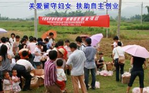 農(nóng)村留守婦女 - 丈夫長期離開而獨自留居農(nóng)村的已婚婦女