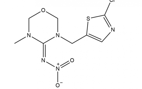 噻蟲嗪 - 白色粉末狀殺蟲劑