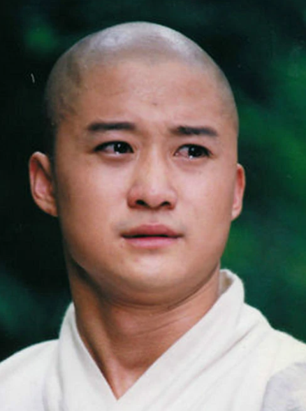 少林武王 - 2002年劉家成、吳家駘執(zhí)導(dǎo)的電視劇