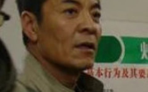 燃燒的生命 - 2009年閻建鋼、趙力軍執(zhí)導(dǎo)的電視劇