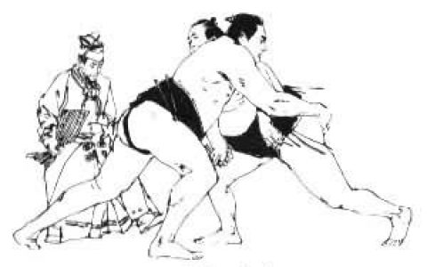 相撲 - 體育活動