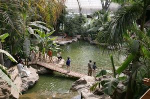 天津熱帶植物觀光園 - 中國(guó)4A級(jí)旅游景區(qū)