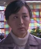 人間風(fēng)雨情 - 2010年歐陽奮強(qiáng)執(zhí)導(dǎo)的電視劇