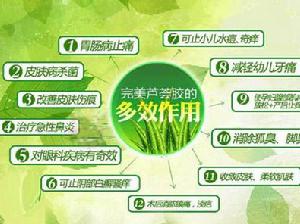 完美蘆薈膠 - 完美公司品牌的化妝品