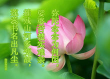 南無(wú)阿彌陀佛 - 佛教術(shù)語(yǔ)