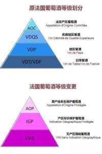 法國紅酒 - 法國出產(chǎn)的葡萄酒