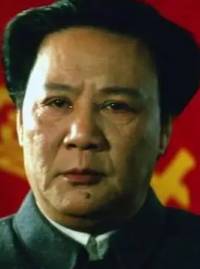 大決戰(zhàn)之淮海戰(zhàn)役 - 1991年李俊、蔡繼渭執(zhí)導(dǎo)的電影
