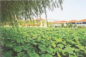 長(zhǎng)江村 - 江蘇省江陰市夏港街道長(zhǎng)江村