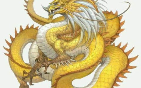 五爪金龍 - 皇家圖騰象征