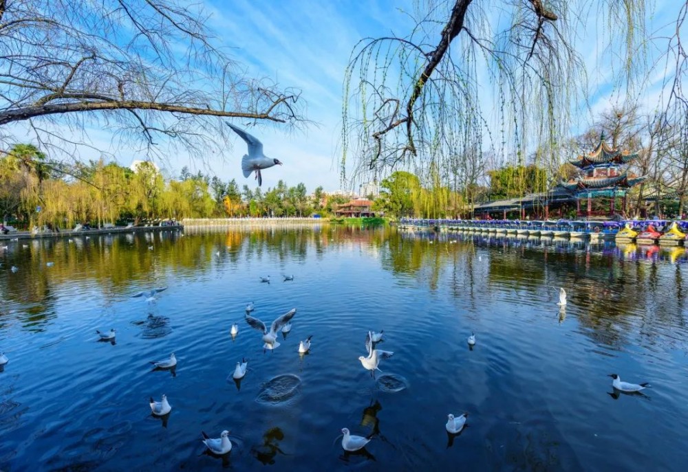 昆明 - 云南省轄地級市、省會