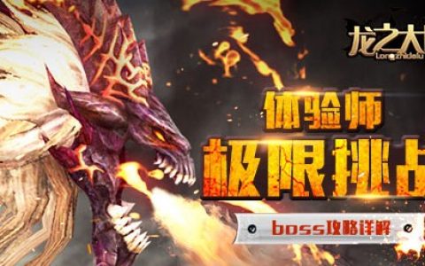 龍之大陸 - 渡口網(wǎng)絡(luò)開發(fā)的一款2DMMORPG網(wǎng)游