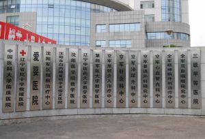 中國人民解放軍463醫(yī)院 - 沈陽市三級甲等醫(yī)院