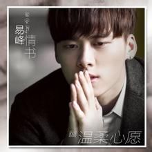 記得我愛你 - 李易峰單曲
