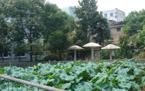 池州師范學(xué)校 - 省屬公立師范學(xué)校