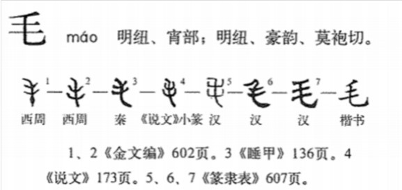 毛 - 漢語漢字