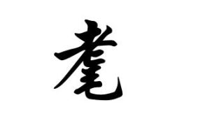 耄 - 漢語漢字