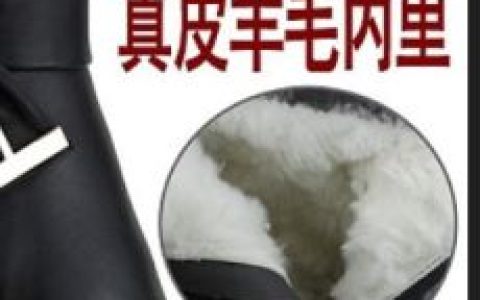 紅蜻蜓皮鞋 - 鞋類品牌