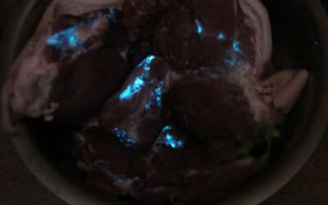 熒光豬肉 - 晚上會隱隱發(fā)出熒光的豬肉