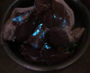 熒光豬肉 - 晚上會隱隱發(fā)出熒光的豬肉