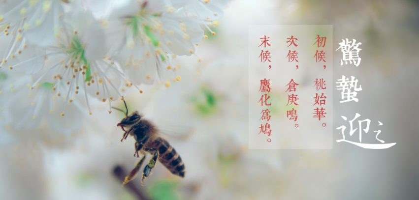 驚蟄 - 二十四節(jié)氣中的第三個節(jié)氣