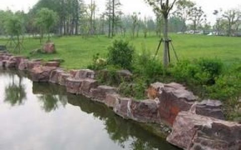 上海濱江森林公園 - 郊野森林公園