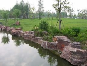 上海濱江森林公園 - 郊野森林公園