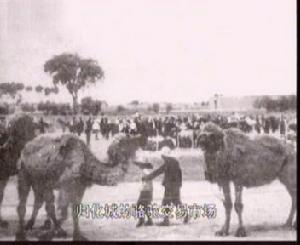 歸化城 - 呼和浩特市舊城
