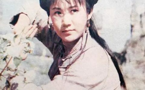 天湖女俠 - 1988年喬克吉、趙為恒導(dǎo)演的電影