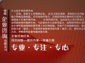 企業(yè)咨詢 - 提高企業(yè)的管理水平和經(jīng)濟(jì)效益