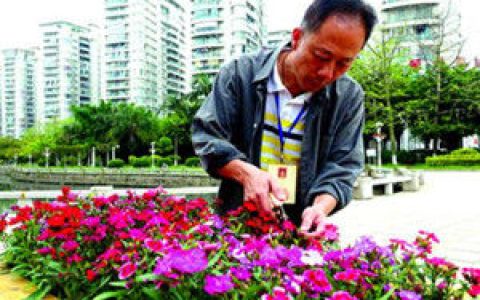 園林工程師 - 高級技術(shù)應(yīng)用性專門人才