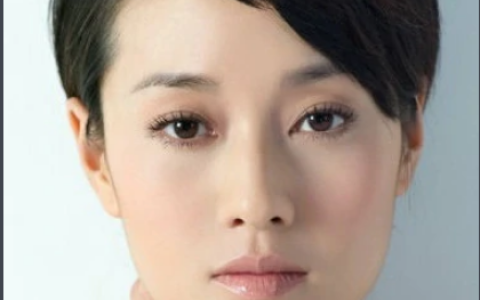雙城生活 - 2011年涂松巖、馬伊琍主演的電視劇