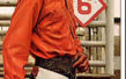 西部牛仔 - 18至19世紀(jì)美國史上開發(fā)西部先鋒