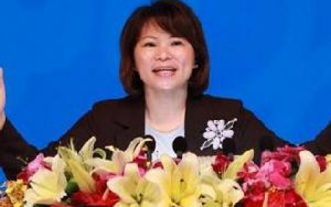 黃敏惠 - 中國國民黨副主席