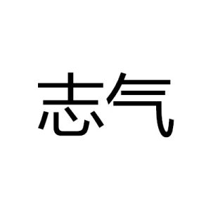志氣 - 漢語詞語