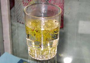 松針茶 - 高檔保健茶