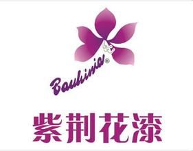 紫荊花漆 - 1982年的香港涂料品牌