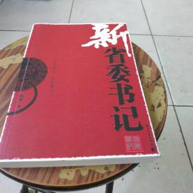 新省委書記 - 2009年花山文藝出版社出版圖書