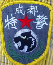 黑豹特警隊 - 特警隊