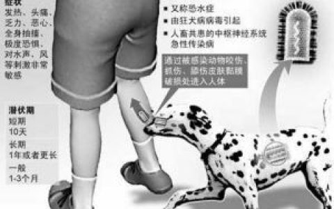 狂犬病潛伏期 - 損害中樞神經(jīng)系統(tǒng)的急性傳染病